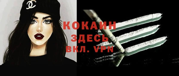 прущий лед Верея
