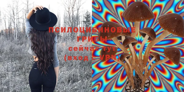 герыч Верхний Тагил
