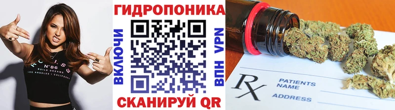 Бошки Шишки THC 21%  как найти   Копейск 